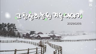 20250205 고창상하농원의 겨울이야기