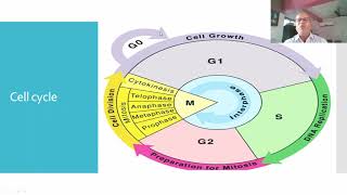 செல் சுழற்சி ஒரு அறிமுகம்-CELL CYCLE INTRODUCTION- HAPPY TEACHERS DAY