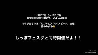 エクストリーム全国決勝大会