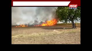 आगीचा रुद्रावतार- तब्बल 20 एकरवरील ऊस जळून खाक