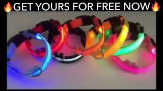 LED Pet Collars For Dog - Dog Collar Review | LED Collars For Dogs |  LED Dog Harness