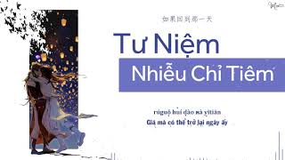 「Vietsub」Tư Niệm Nhiễu Chỉ Tiêm Remix - Hải Điểu Phi Ngư  海鸟飞鱼 - 思念绕指尖 (DJ名龙版)