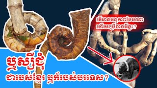 ឬស្សីជុំ ជាវត្ថុស័ក្តិសិទ្ធិ របស់ខ្មែរ ឬក៏របស់បរទេស