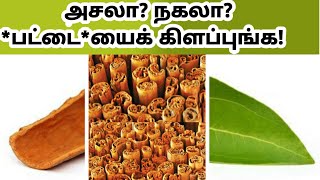 பட்டையைக் கிளப்பும் உண்மையான பட்டையை கண்டுபிடித்து விடலாம் இனி /  IDENTIFY TRUE CINNAMON