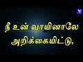 indraya vasanam 23 07 2024 today bible verse in tamil todays promise word tle gospel media