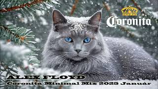 ALEX FLOYD ● Coronita Minimal Mix 2025 Január