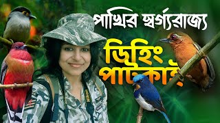 পাখি দেখতে ডিহিং পাটকাই | Birds of Dehing Patkai National Park Assam