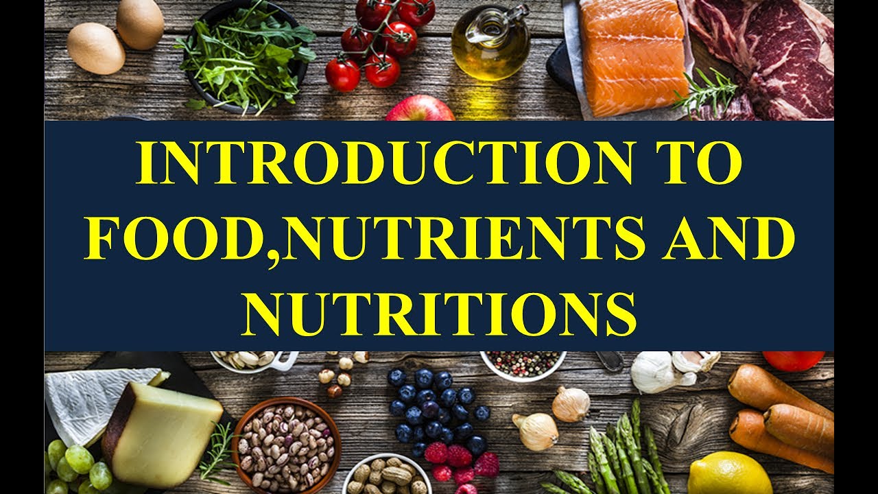 Lecture 1 Introduction To Food, Nutrients And Nutrition (PART 1) - YouTube