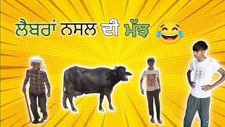 ਲੈਬਰਾ ਨਸਲ ਦੀ ਮੱਝ🤣🤣latest punjabi comedy video😂 please subscribe