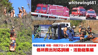 [レスキュー隊 崖下転落車両救助訓練] 低所救出対応訓練 徳島県統合機動部隊・中芸広域連合消防本部 [Rescue Training for Fallen Vehicles] 2019.11.30