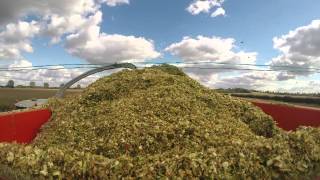 Flawborough Farms Maize Harvest 2014