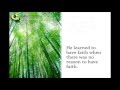 The Chinese Bamboo Story