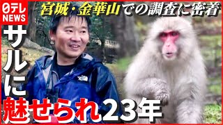 【密着】動物との共存のため…サルを研究し23年！ 険しい道のりの調査へ同行　宮城・石巻市の離島・金華山　NNNセレクション