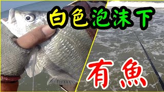 白色泡沫下有魚