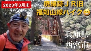 廃線跡 JR旧福知山線廃線敷ハイキング　トンネル・橋梁・渓流・渓谷　春　ウグイス 大峰山 兵庫県100山番外編 わがみちおのスットコぼっち登山 登山 低山 鉄道 ツツジ 山桜