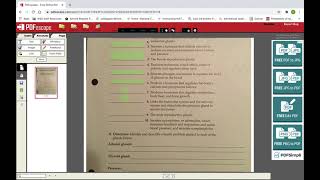 How to create Fillable PDF forms for Google Classroom