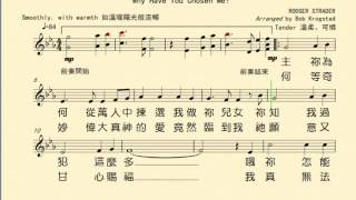 為何揀選我(698050-WHY HAVE YOU CHOSEN ME)  鋼琴伴奏檔