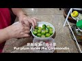 这次和大家分享儿时零食 酸梅桔子的简单做法 酸酸甜甜超开胃 sour plum calamondin