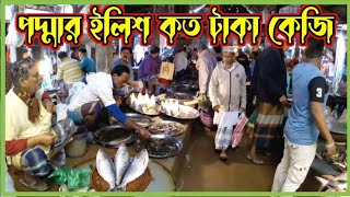 শ্রীনগর মাছ বাজারে পদ্মা নদীর ইলিশ কত টাকা কেজি || Nisu khan vlog