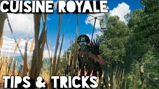 CRSED Tips and tricks Part 1 | Survive and win with these tips (CRSED: FOAD)