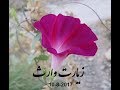 زيارة وارث { زیارت امام حسین علیه السلام } ویدیو 157. Ziaratul Waris