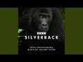 I'm Not The Silverback