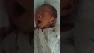 하품하는 아기/cutest baby yawn so lovely/あくびする赤ちゃん/yawning/menguap sayang/em bé ngáp