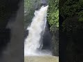 PAGSANJAN FALLS rifting on a rainy season