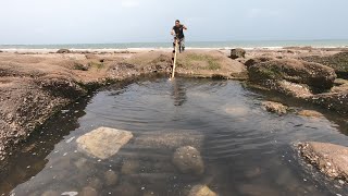 岸边水坑浑得发黑有异常，坑底鲨鱼毒鱼群打架，争王争霸太猛了