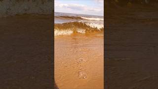 Хвилі на Київському морі! Природа України🌊Waves on the Kyiv Sea! Nature of Ukraine🌊