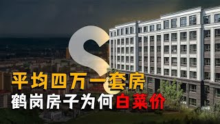 鹤岗的房价为啥这么便宜？1.5w一套，被誉为年轻人的躺平圣地