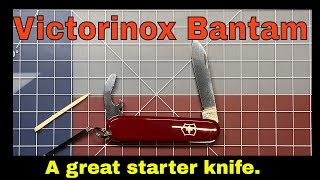 Victorinox Bantam