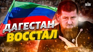 Дагестан ВОССТАЛ! Сотни людей вышли на улицы. Кровная месть Кадырова накрылась медным тазом