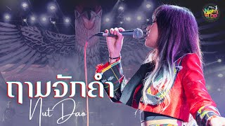 ຖາມຈັກຄໍາ | ถามจักคำ - Nutdao | LIVE Namtha Music Carnival 2024 #ຄັກສຸດລະກ່າ