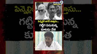 పిన్నెల్లికి జగన్ వత్తాసు గట్టిగ ఏసుకున్న కూటమి నేత | Pinnelli Ramakrishna | Jagan | Prime9 News