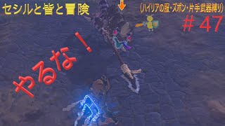 ゼルダの伝説　一撃の試練！　セシルと皆と冒険＃47（ハイリアの服、ズボン、片手武器縛り）