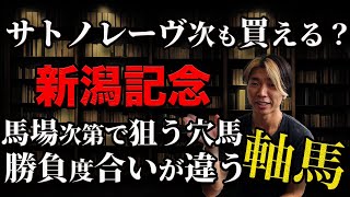 サトノレーヴの評価と新潟記念不動の軸馬【馬場次第で高配当を呼ぶ穴馬も】