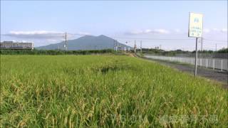 ＪＲ水戸線　2011/08/27　普通列車