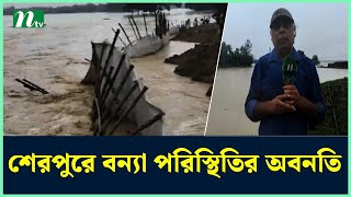 শেরপুরে বন্যা পরিস্থিতির অবনতি | NTV News