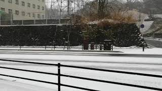 福岡の雪　福岡大学周辺