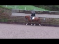 kilpatrick grace flatwork