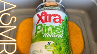 🌲 Xtra Pine | ASMR 🌲