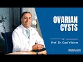 Ovarian Cysts Treatment Explained By Prof. Dr. Gazi Yıldırım - With English Subtitles