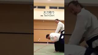 WOW!合氣 | 膝の上 : Arm on Knee | 太刀取り一教 TachiDori Ikkyo : Sword Disarm #合氣 #aikido