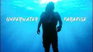 underwater ambience - relaxing music for stress relief -
