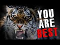 YOU ARE A BEAST - Best Motivational Speech - Tony Robbins, Steve Harvey, TD Jakes, Jim Rohn