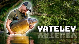 I Dreamt Of This Moment! 🎣😴 | Carp Fishing Yateley | PLUS NEW TACKLE