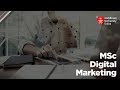 MSc Digital Marketing | Middlesex University in Dubai