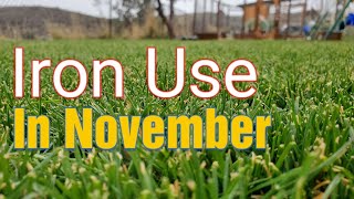 Applying Iron To The Lawn Before Winter