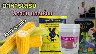 อาหารเสริมและวิตามิน สำหรับนกแก้ว